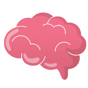 brain